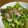 よし33☆'s cooksnap of when they made 味噌入り手作りごまドレッシング.