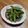 aquyuu's cooksnap of when they made 青じそドレッシングで♪インゲンのごま和え.