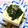 KotoLi☆'s cooksnap of when they made ささっと一品☆ワカメおかか乗っけ豆腐.