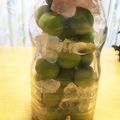 maumamma's cooksnap of when they made 梅シロップの決定版！ ４種類楽しもう！.