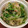 anjelica7's cooksnap of when they made 【簡単】切り干し大根と豆苗のサラダ.