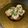 クックGBMXYS☆'s cooksnap of when they made ツナとタマネギのクリームチーズディップ.