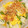 かなりんココりん's cooksnap of when they made いんげんとかまぼこの卵とじ.