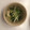かせぃじん's cooksnap of when they made 簡単作りおき もやしと豆苗のナムル.