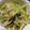 小麦粉【100g】's cooksnap of when they made もやしとキャベツだけ！味付き野菜炒め♡.
