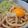 ドイツにいるアホづら's cooksnap of when they made 手打ちの讃岐うどん♪.