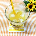 toraちゃん♪'s cooksnap of when they made 黒酢はちみつりんごジュース.