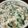 クック7FNN0F☆'s cooksnap of when they made 納豆とモロヘイヤのネバネバ豆腐♡.