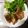 クックPBPW9I☆'s cooksnap of when they made 鶏むね肉の甘酢ダレ.