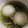 クックDJXZOL☆'s cooksnap of when they made 簡単でも美味☆おもちのお茶漬け.