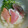 M130018's cooksnap of when they made お家で簡単美味しい＊だし鯛茶漬け.