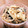 ✿ykyk✿'s cooksnap of when they made 鯖の南蛮漬け.