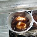 ダイハード近藤's cooksnap of when they made 冷やし白玉しるこ.