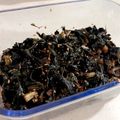 キラリンmama's cooksnap of when they made 大根の葉 ふりかけ！美肌効果も☆.