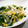 マダムカフェ♡'s cooksnap of when they made 玉ねぎとわかめの和え物.