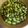 んりおか's cooksnap of when they made ひたし豆（青大豆煮）.