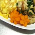 ☆ありか358☆'s cooksnap of when they made 梅にこだわる❀人参の飾り切り❀.