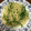 クックRPIZXH☆'s cooksnap of when they made じゃがいもとピーマンの炒め.