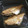 ☆こまっと☆'s cooksnap of when they made カワハギの煮付け.