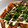 saalalan's cooksnap of when they made さつま揚げのお好み焼き風.