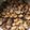 bbone's cooksnap of when they made キュウリのQちゃん…100人越え♪.