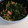 クック85YG0F☆'s cooksnap of when they made ほうれん草のツナぽん和え.