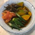 にょろりーの's cooksnap of when they made 夏野菜のだし浸し.