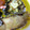 とら＆とららのママ's cooksnap of when they made えのき巻きのチーズ焼き.
