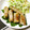 ふれんでぃあ's cooksnap of when they made 簡単☆豚肉のアスパラ、えのき巻き.