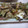 あおと109's cooksnap of when they made ごぼうの卵とじ.