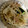 たまきてい's cooksnap of when they made ＊もやしときゅうりのツナ和え＊.