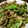 クック7FNN0F☆'s cooksnap of when they made ピーマンのオイスターソース炒め.