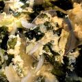 ごふぁんだ's cooksnap of when they made 中華風ワカメ卵スープ.