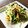 ちゅーりっぷママ☆'s cooksnap of when they made 豆苗のごま和え.