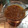 悪忌◆'s cooksnap of when they made 新玉ねぎと生姜のたれ.