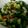 クックYKLSJF☆'s cooksnap of when they made 子供にも♪いんげんと人参のチーズサラダ＊.