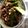 クック4W0L1T☆'s cooksnap of when they made アスパラガスと鶏ひき肉のそぼろ炒め.