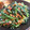 シルフス's cooksnap of when they made ほうれん草と納豆の梅マヨあえ.