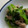 まみお✳'s cooksnap of when they made 豚と小松菜の和風炒め.
