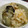 ちゃまちゃま☆'s cooksnap of when they made おばあちゃんの味♡牡蠣の炊き込みご飯.