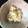 atatanno's cooksnap of when they made 簡単!!我が家のタルタルソース.
