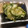 tetomomo's cooksnap of when they made きゅうりのごま和え.