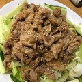 ヤスボン☆'s cooksnap of when they made さっぱり☆大根おろしのしょうが焼き丼.
