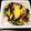 ぐでたまパン's cooksnap of when they made ❀ズッキーニの塩昆布和え❀.