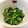 クックE662AA☆'s cooksnap of when they made モロッコいんげんの中華炒め.