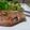 ダイナマイト漆黒's cooksnap of when they made サルティンボッカ風♪生ハムバジル豚ソテー.