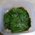 ⭐HOPE⭐'s cooksnap of when they made 青じその醤油漬け.