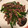 popoliva's cooksnap of when they made 砂肝とにんにくの芽の炒め物.