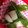 ゆきにな's cooksnap of when they made ♪イカとピーマンの生姜焼き♪.