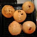 クックBNQ5PD☆'s cooksnap of when they made 簡単ベーグル　アレンジ色々.